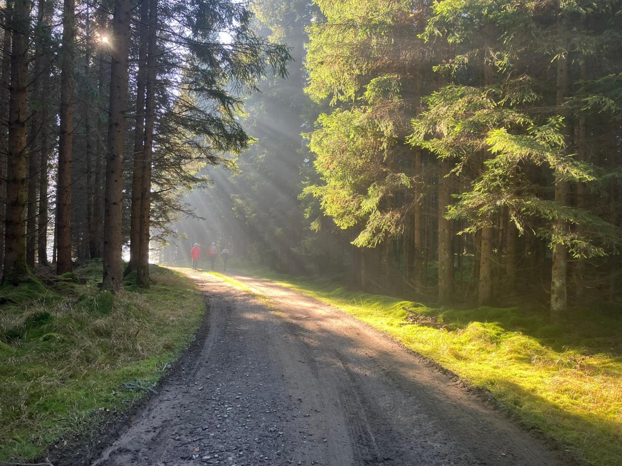 Chalupa Ostruvek Tachov  Bagian luar foto