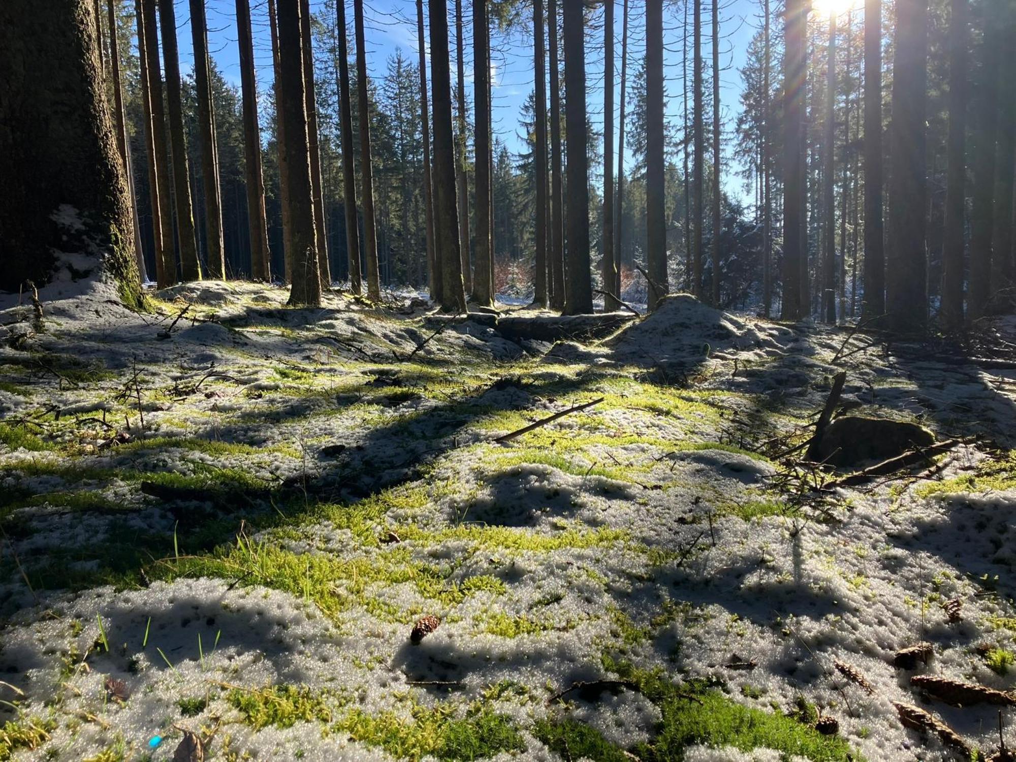Chalupa Ostruvek Tachov  Bagian luar foto